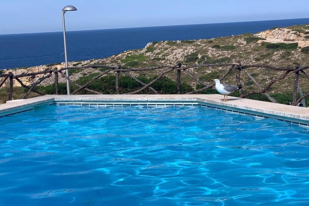 Apartamento A Estrenar Con Vistas Al Mar. Son Parc Luaran gambar
